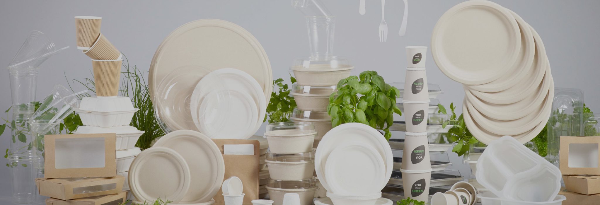 A variety of compostable and eco-friendly food packaging products displayed with green plants in the background.